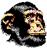 Chimp